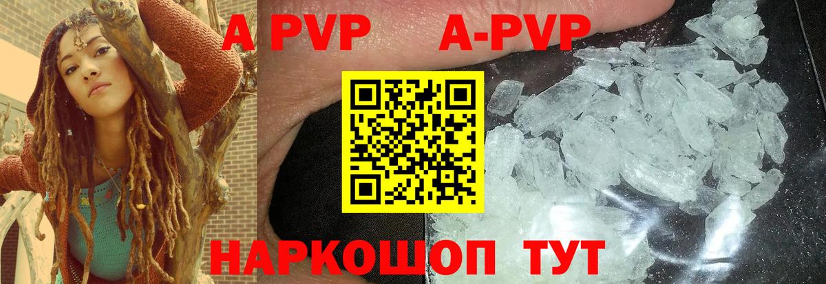 APVP СК Архангельск