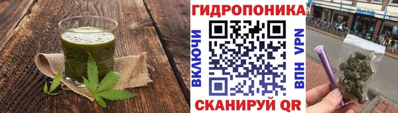 Cannafood конопля  Архангельск 
