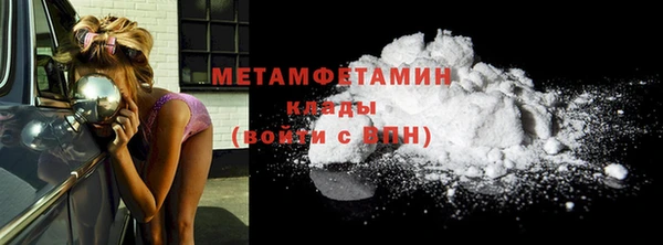 прущие грибы Корсаков