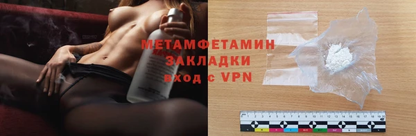 прущие грибы Корсаков