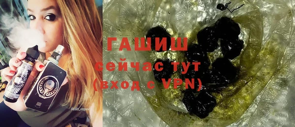прущие грибы Корсаков