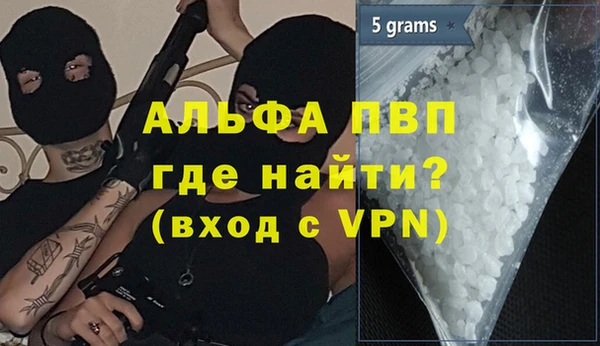 прущие грибы Корсаков
