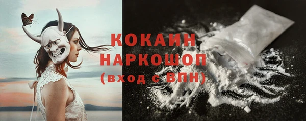 прущие грибы Корсаков