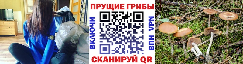 это клад  Архангельск  Псилоцибиновые грибы MAGIC MUSHROOMS 