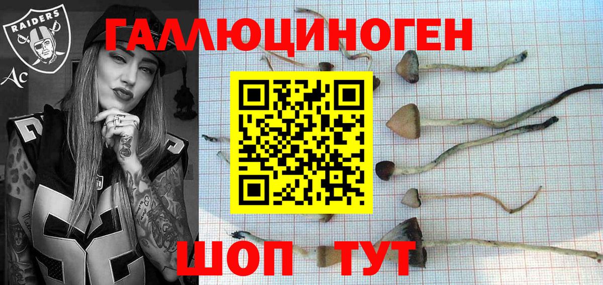 Галлюциногенные грибы Psilocybe  Вход с VPN  что такое наркотик  Архангельск 