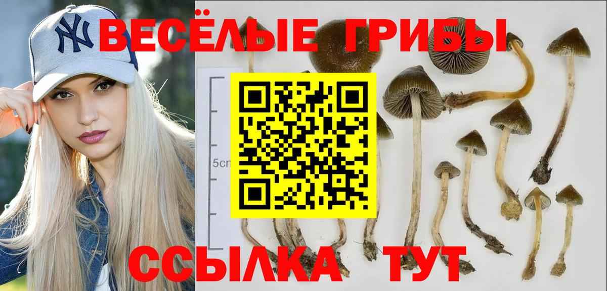 Псилоцибиновые грибы MAGIC MUSHROOMS Архангельск